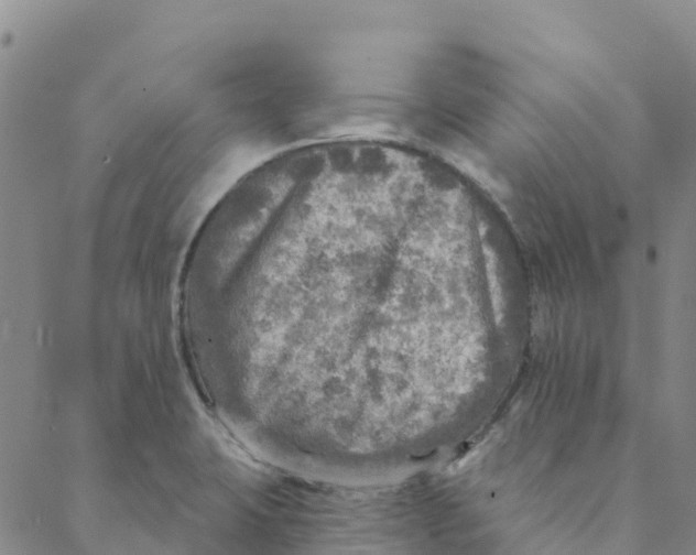 X0000088391423200706121159