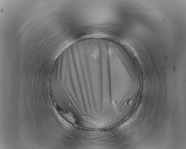 X0000088391425200706121159