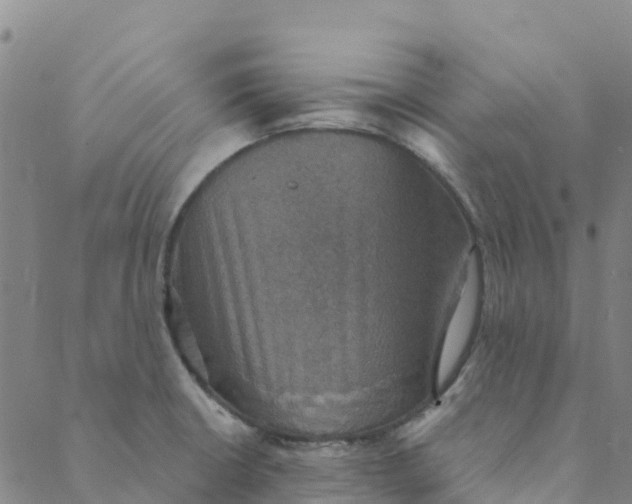 X0000088391426200706121159