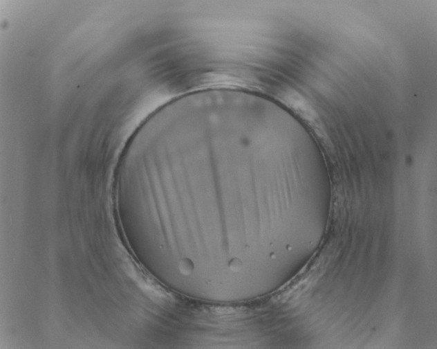 X0000088391427200706121159