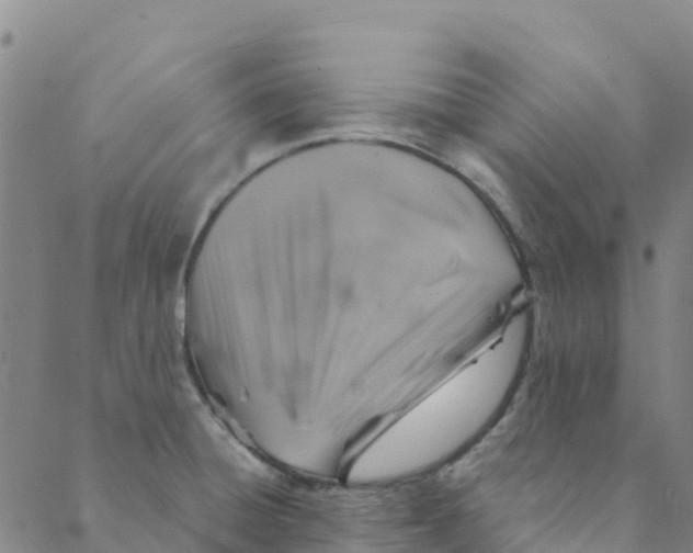 X0000088391428200706121159