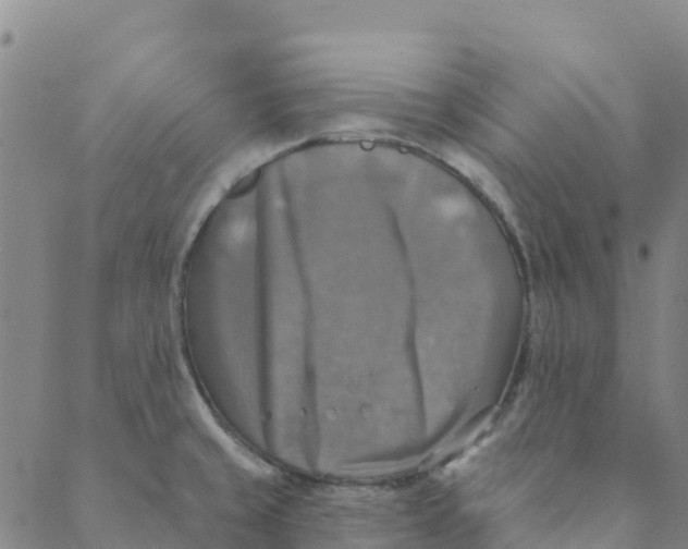 X0000088391429200706121159