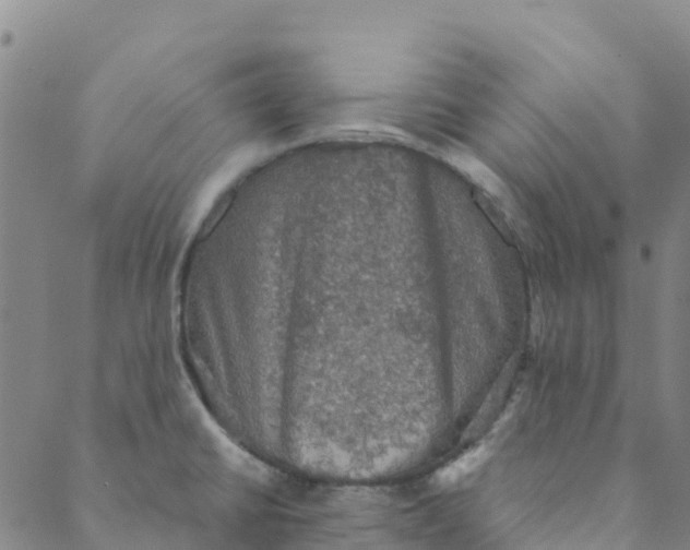 X0000088391430200706121159