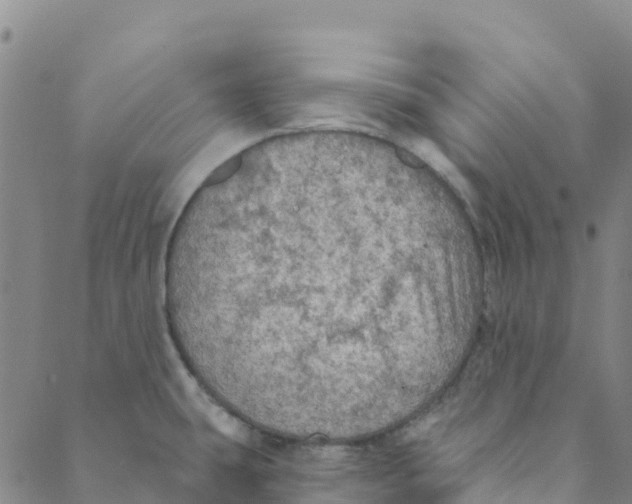 X0000088391431200706121159