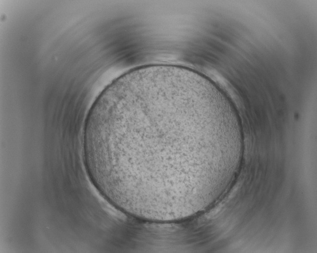 X0000088391432200706121159