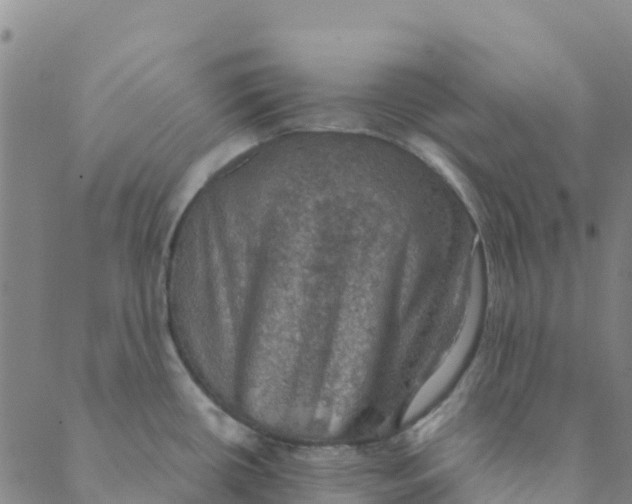 X0000088391434200706121159