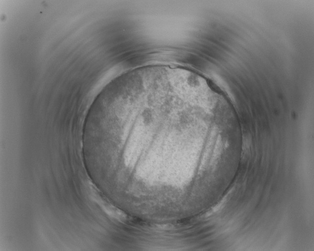 X0000088391435200706121159