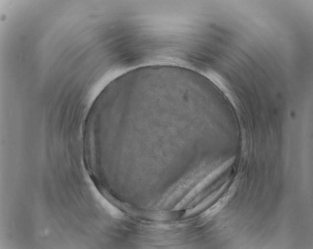 X0000088391438200706121159