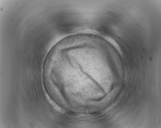 X0000088391439200706121159