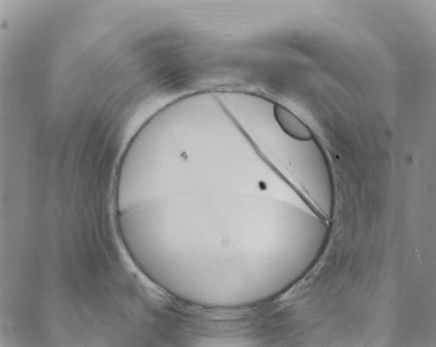 X0000088391440200706121159