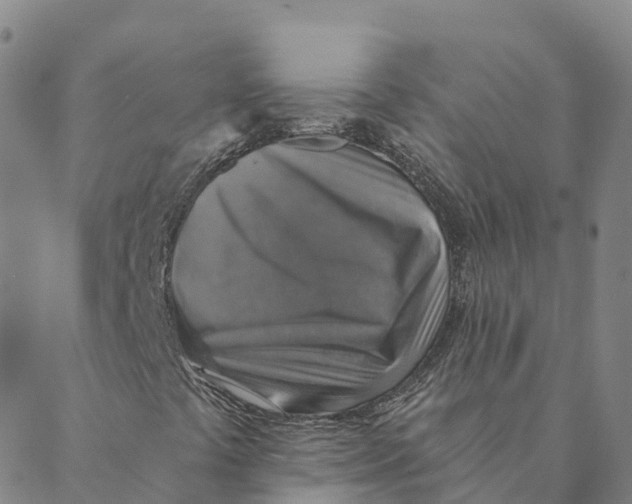 X0000088391441200706121158