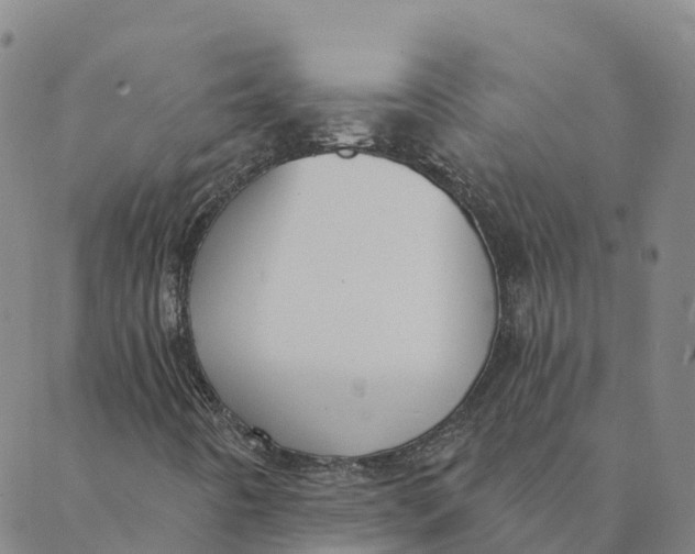 X0000088391442200706121158