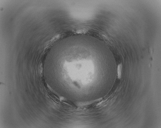 X0000088391443200706121158