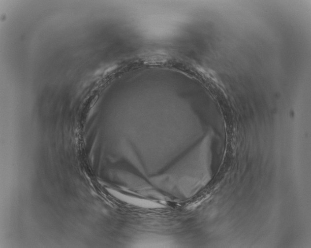 X0000088391445200706121158