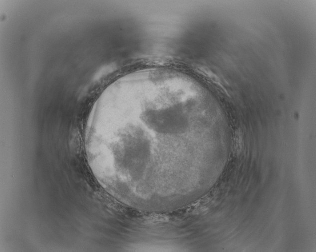 X0000088391446200706121158