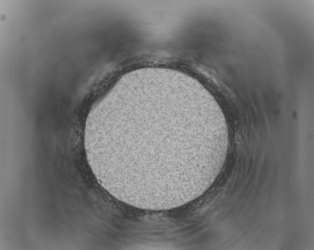 X0000088391447200706121158