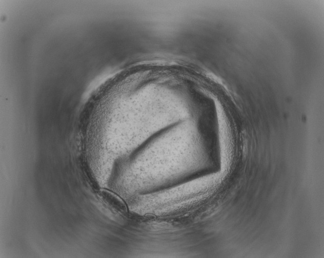 X0000088391448200706121158