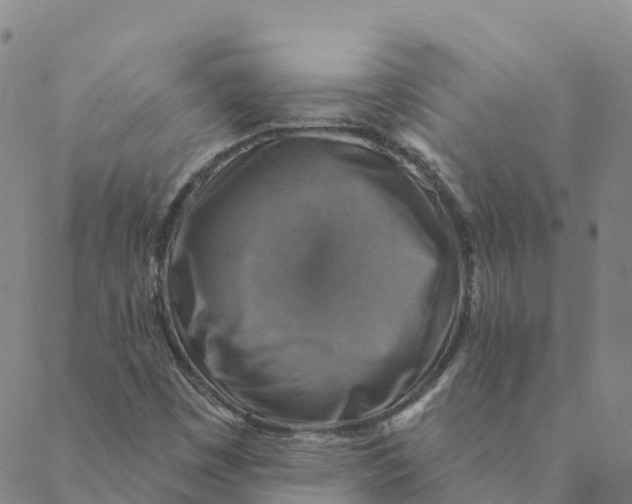 X0000088391449200706121158