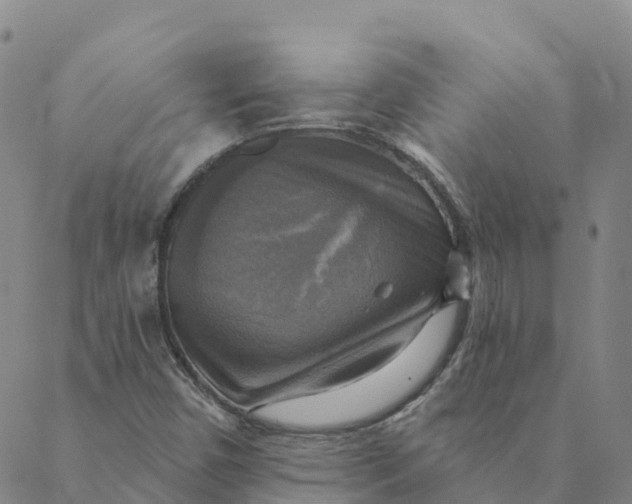 X0000088391450200706121158