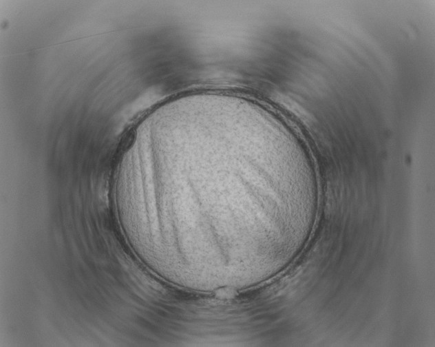 X0000088391451200706121158