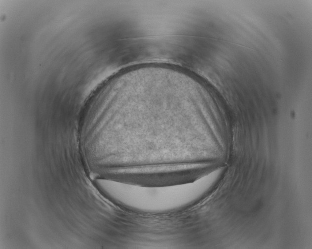 X0000088391452200706121158