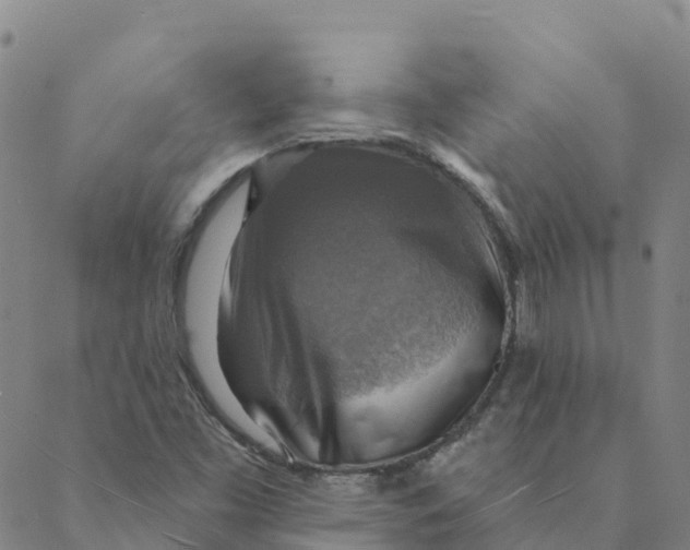 X0000088391453200706121158