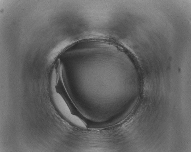 X0000088391455200706121158