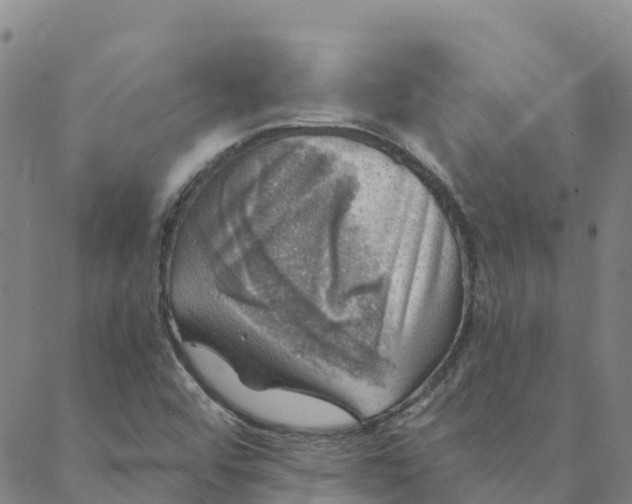 X0000088391456200706121158