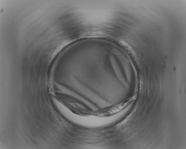 X0000088391457200706121158