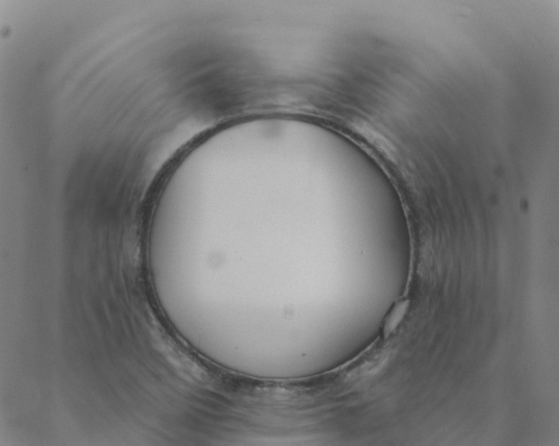 X0000088391458200706121158