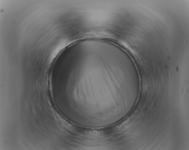 X0000088391459200706121158