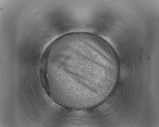 X0000088391460200706121158