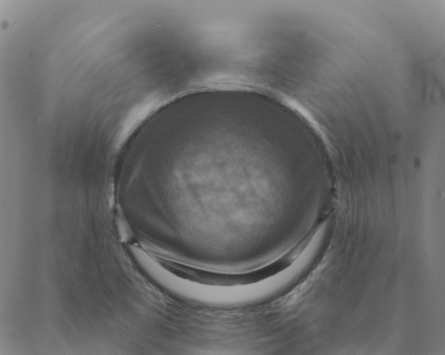 X0000088391461200706121158