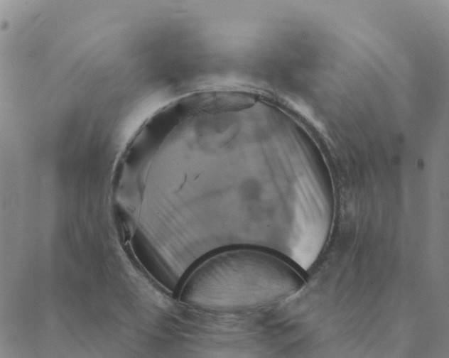 X0000088391463200706121158