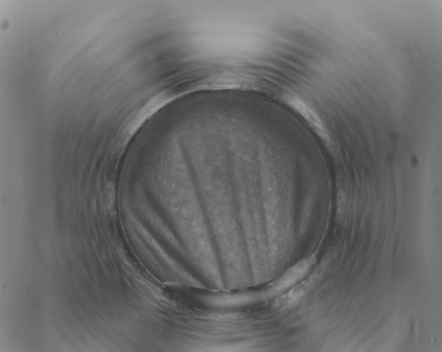 X0000088391465200706121158