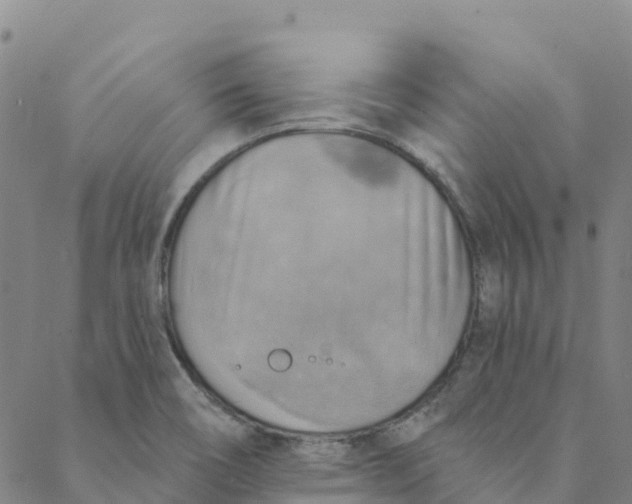 X0000088391466200706121158