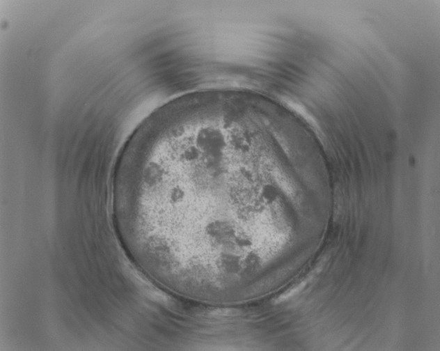 X0000088391467200706121158