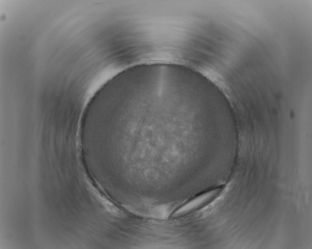 X0000088391469200706121158