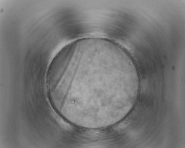 X0000088391470200706121158