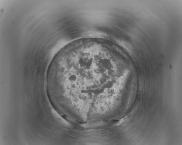 X0000088391471200706121158