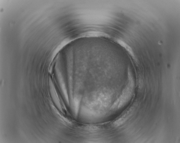 X0000088391473200706121158