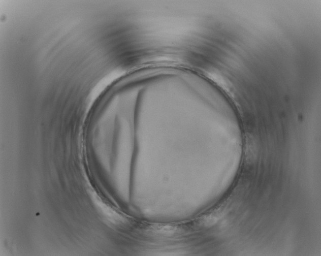 X0000088391474200706121158