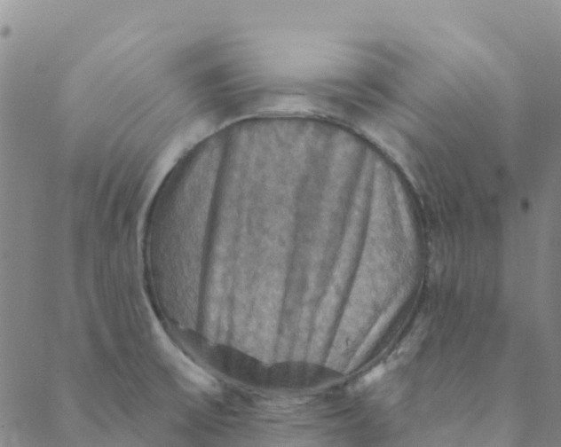 X0000088391475200706121158