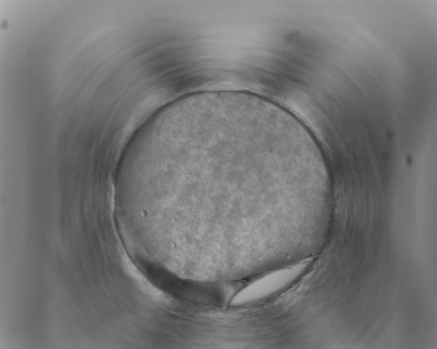 X0000088391476200706121157