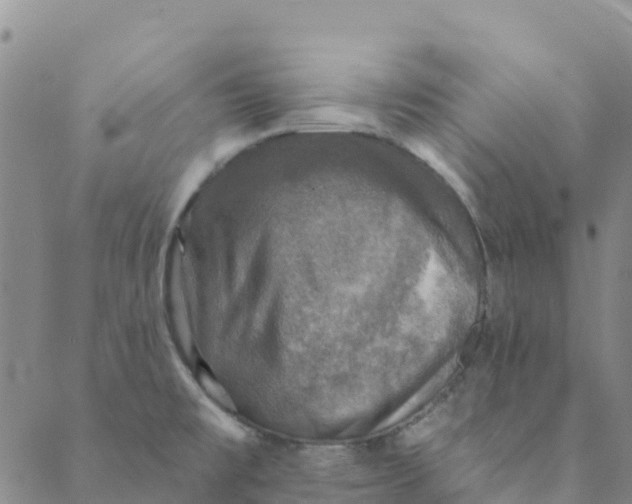 X0000088391477200706121157