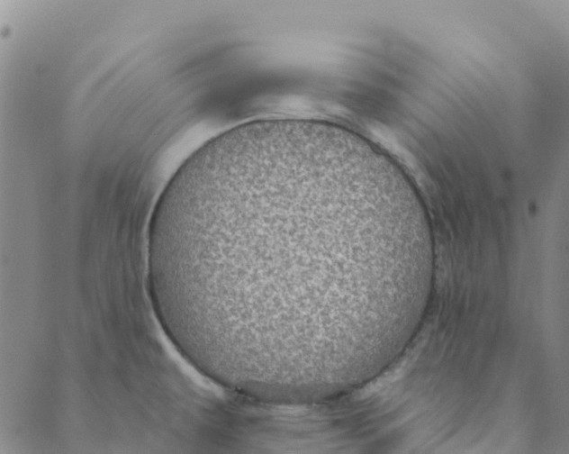 X0000088391479200706121157