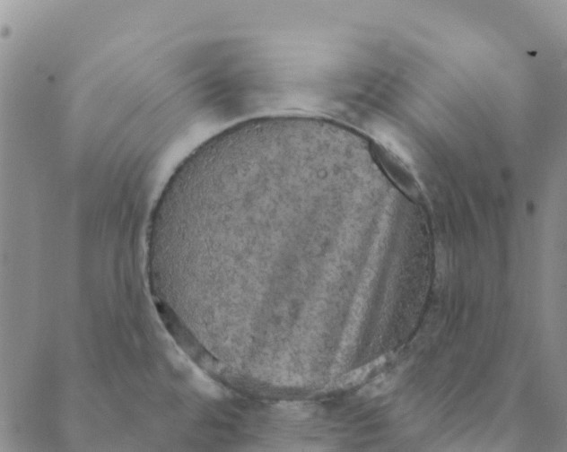 X0000088391480200706121157