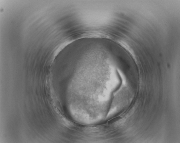 X0000088391481200706121157