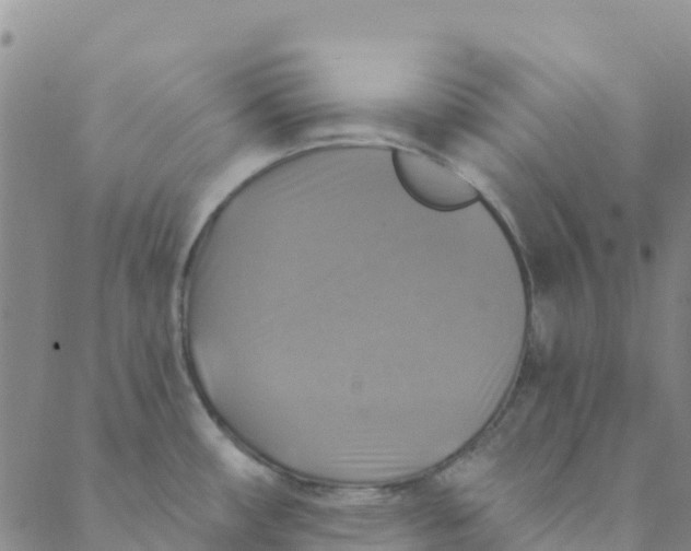 X0000088391482200706121157