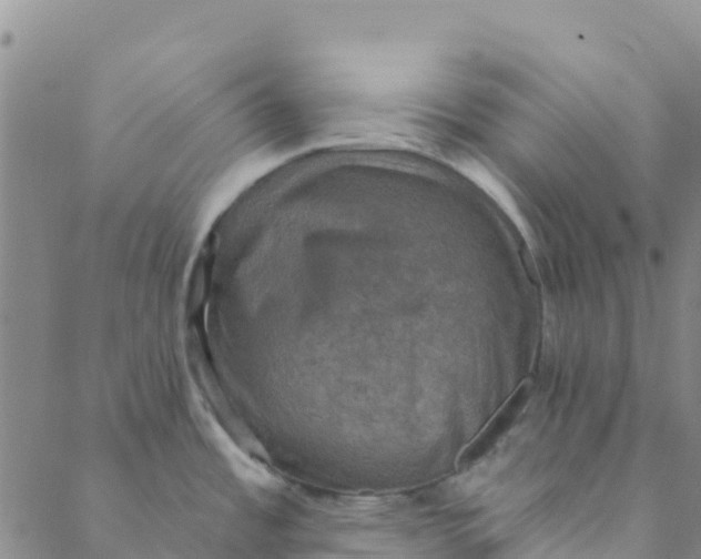 X0000088391485200706121157